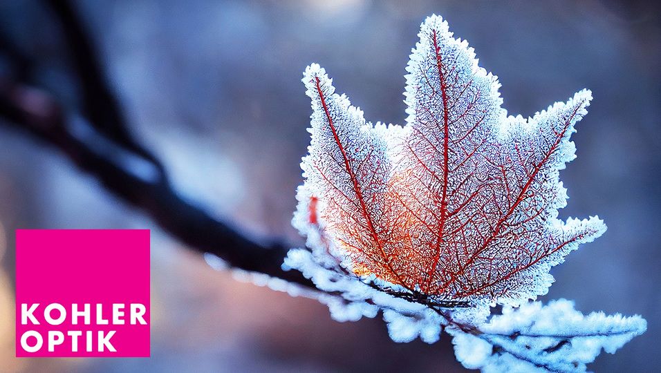 Liebe Kundinnen und Kunden Die Kohler Optik AG Oensingen wünscht Ihnen geruhsame Festtage und einen fokussierten Start ins neue Jahr.  Wir danken Ihnen herzlich für Ihr Vertrauen und Ihre Treue. Geniessen Sie die festliche Zeit, tanken Sie Energie, und starten Sie mit klarem Blick und frischem Elan ins neue Jahr.  Wir freuen uns darauf, auch im kommenden Jahr Ihre klare Sicht zu unterstützen!<br><br>Bitte beachten Sie unsere speziellen Öffnungszeiten:<br><br>23.12.23: 08:00 - 12:00<br>24.12.23 - 26.12.23: Geschlossen<br>27.12.23 - 29.12.23:     08:30 - 12:00 & 13:30 - 18:30<br><br>30.12.23: 08:00 - 16:00<br><br>31.12.23 - 02.01.24: Geschlossen<br><br>#Augengesundheit #Augenoptiker #Sehvermögen #Sehtest #Sehhilfen #Gesundheit #KohlerOptikAgOensingen #Oensingen